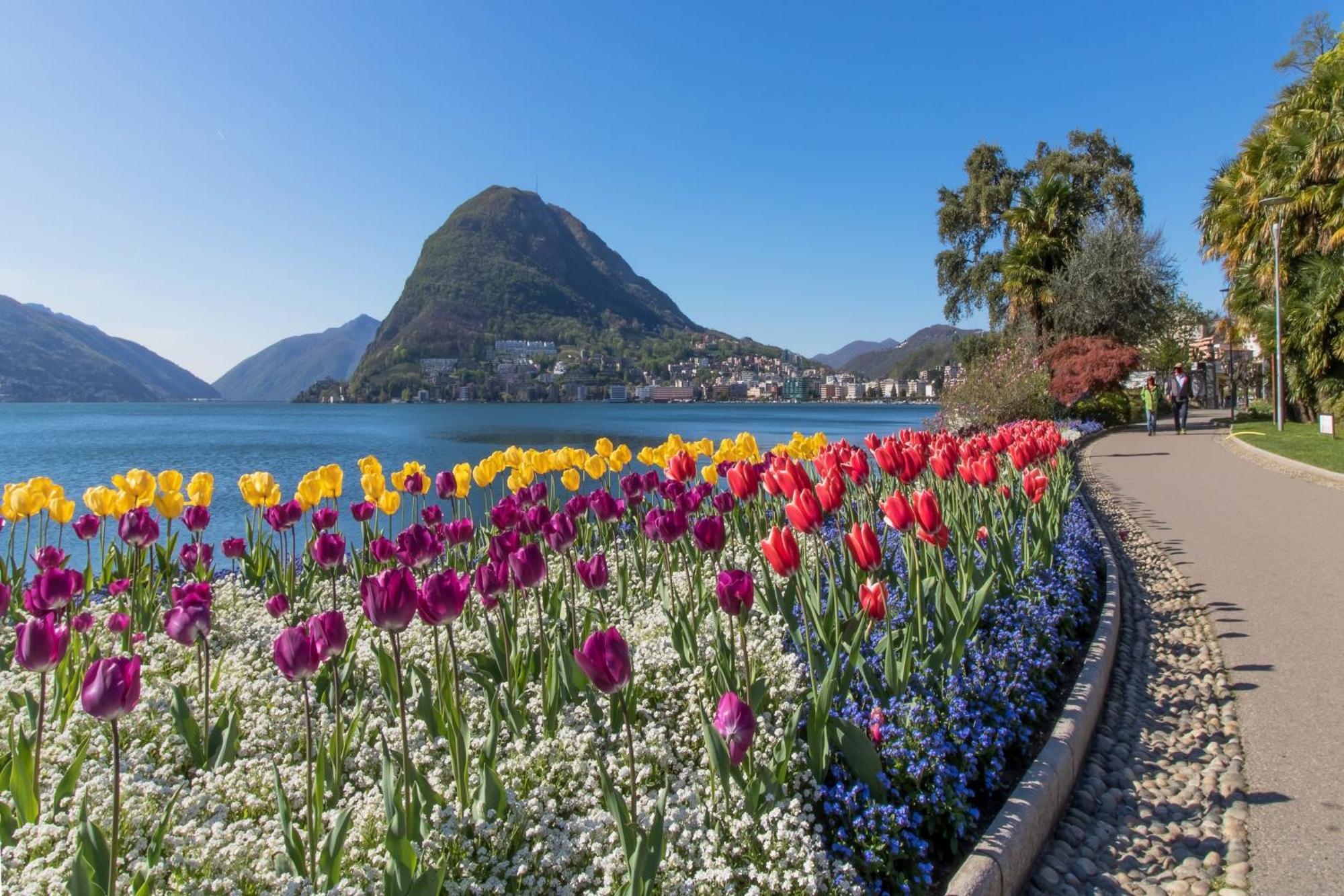 Casa Basilico - Happy Rentals Lugano Kültér fotó